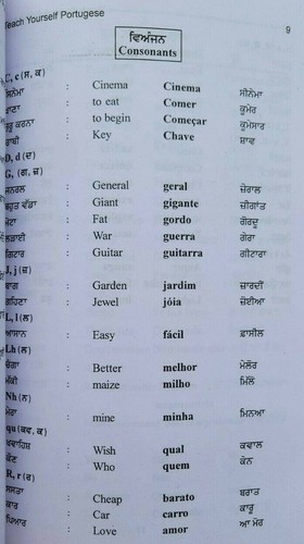 Teach yourself portuguese learning course punjabi english easy course 60 days ma - Picture 4 of 10