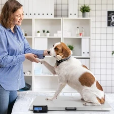 1100lbs Digital Livestock Scale Large Pet Dog Sheep Goat Scale for Warehous Use