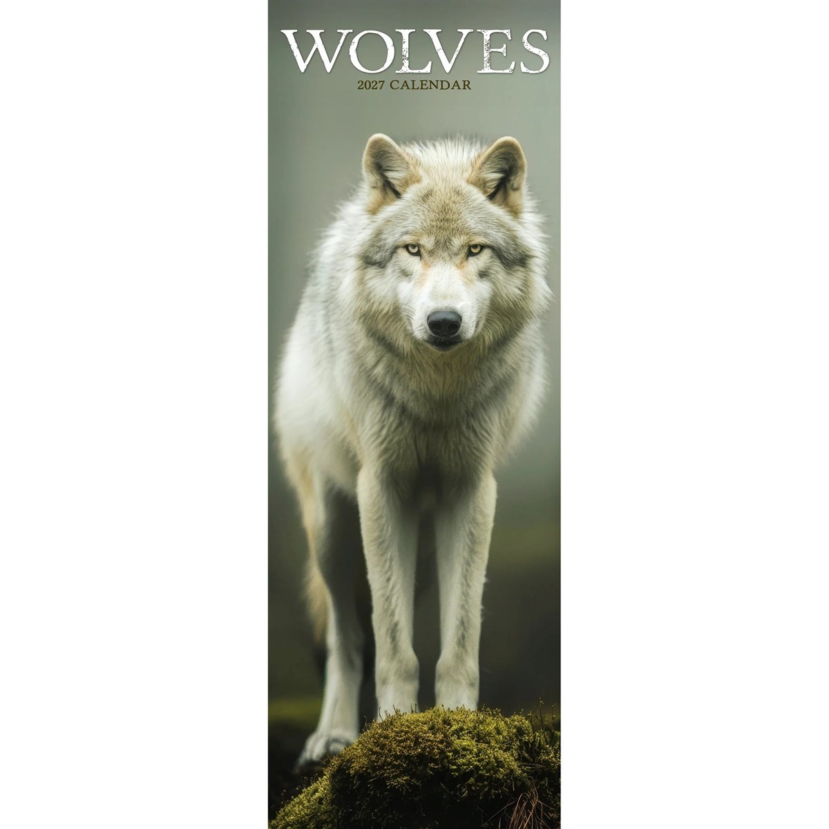 Wolves Slim Calendar 2027, Wall Calendars, Month To View, Animals, Gift