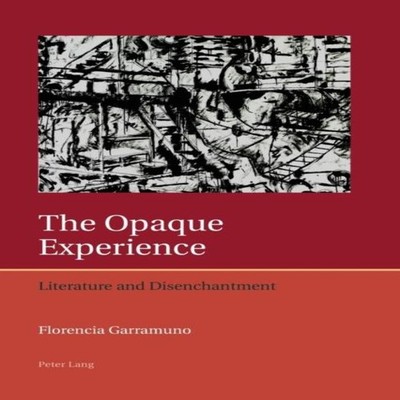 The Opaque Experience Literature and Disenchantment Peter Lang Gr