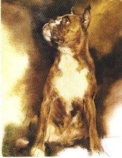Boxer - CUSTOM MATTED - Vintage Dog Art Print - Poortvliet