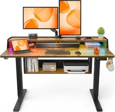 Ergear Standing Desk, 48" X 24" Electric Height Adjustable Desk with Shelves, Vi