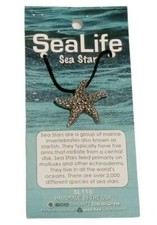 Starfish Sea Star Pendant Cord Necklace Lead Free Safe Pewter SL116 Sea Life