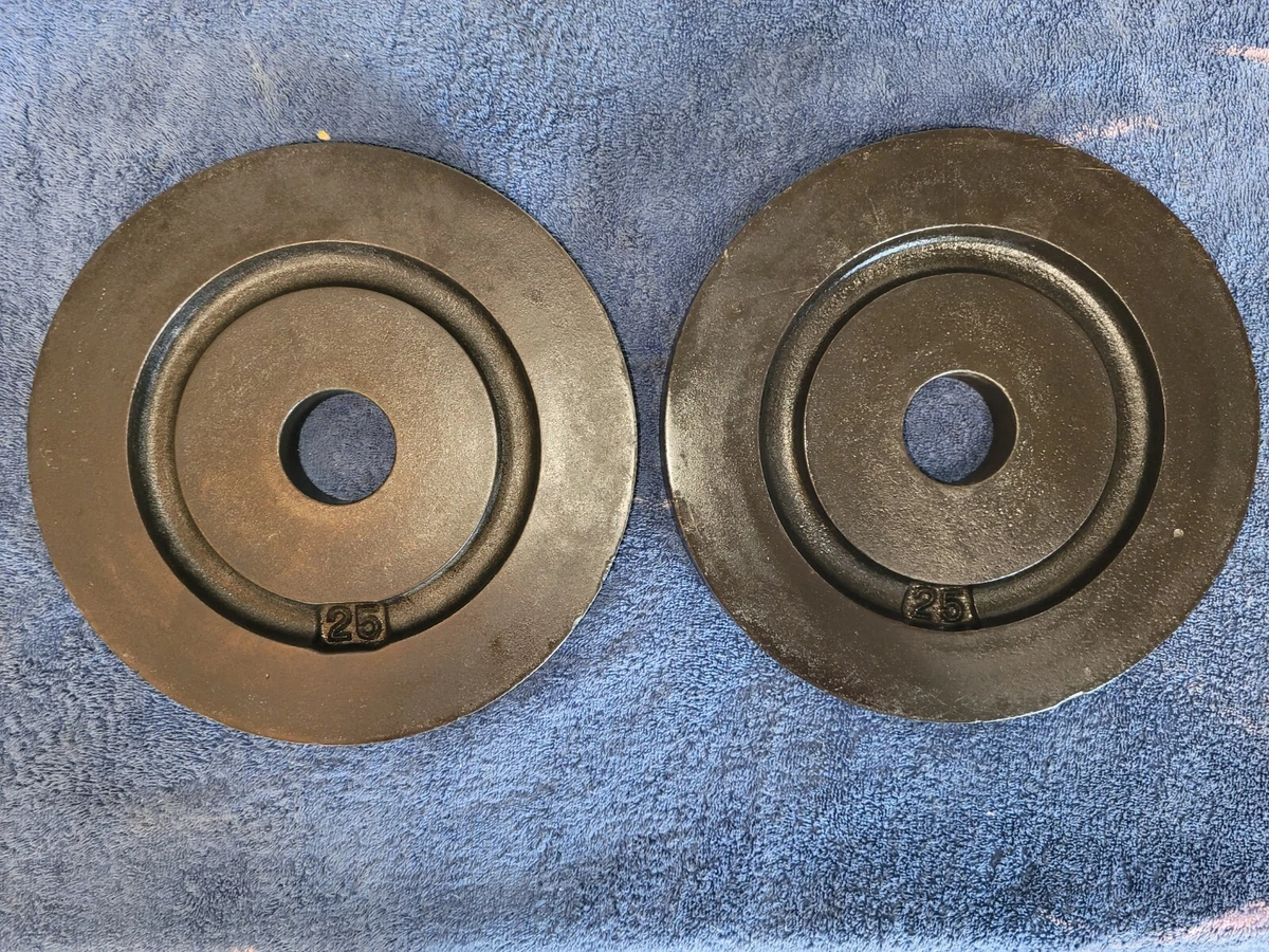 Weight plates ebay deals