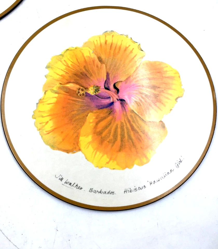 Pimpernel Jill Walker Hibiscus Juego de 4 manteles individuales 10" acrílico y corcho Inglaterra Foto 2 de 4