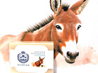 Sapone Artigianale al LATTE D'ASINA Avincen