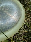 Discraft Z Plastic Glow Fairway Driver Disc Golf Disc 165g – Model Unknown — photo 3