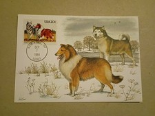  US 1984 Alaskan Malamute  / Collie Dogs Maximum First Day Card , New York 