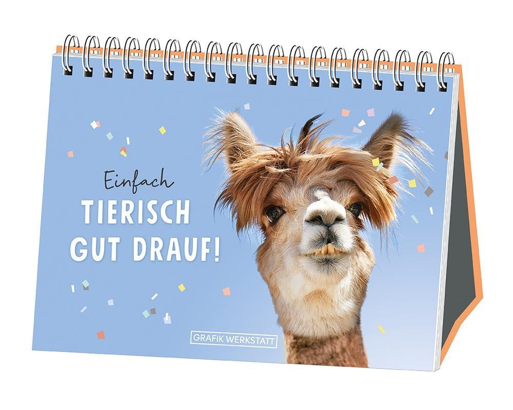 Einfach tierisch gut drauf! - Bild 3