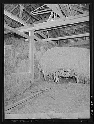 Lancaster County PA 1938 Enos Royer Farm Barn Hay Wagon Farm Security