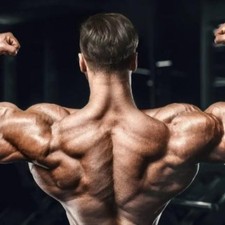 The 12 Week Steroid cycle gym pack Syringes Uk . 23g 21g with wipes!