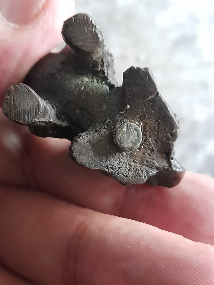 Bronze Oriental Miniature Foo Fu Guardian Dog Vintage - Image 4 of 4