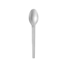 NEW HERMES HTS STAINLESS STEEL DESSERT SPOON #P008807P BRAND NIB FRANCE F/SH