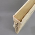Foto 3 di 13