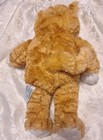 Build A Bear Ginger Plush Stuffed Animal Soft Striped Tabby Cat 2011 — photo 8