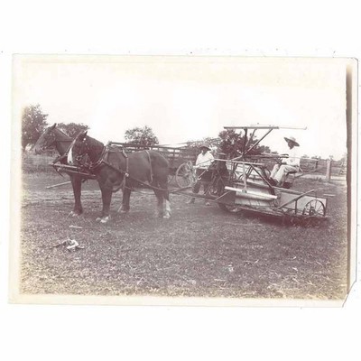 LANDWIRTSCHAFT frühe Pferdedreschmaschinen antike Fotografie um 1910