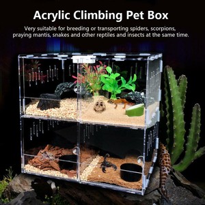 lizard tank accessories