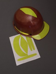 turtle shell hard hat