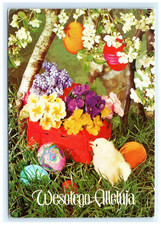 Easter Greeting Chick Painted Eggs Spring Flowers Wesołych Świąt Poland Postcard