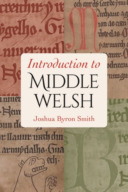 Introduction to Middle Welsh - Image 4