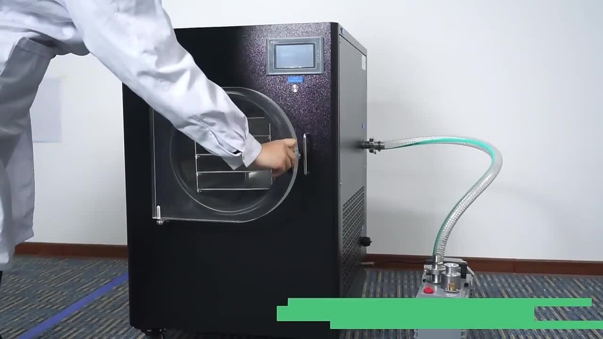 35°C Home Freeze Dryer With Oil Pump for Vegetable Fruit