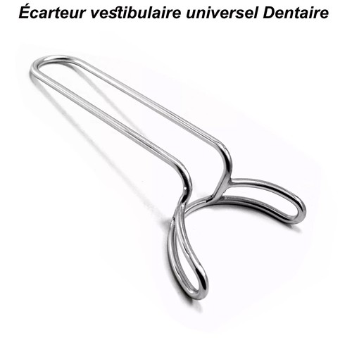 Rétracteur Vestibulaire Dentaire – écarteur De Lèvres Et Joues, Inox, INSTUMAX, Pakistan