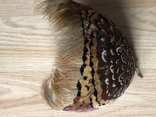 Pheasant Feather Fascinator Hat Headband Vintage 1950s