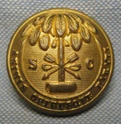 Non-Dug Confederate Civil War South Carolina Coat Button-HTB Manchester