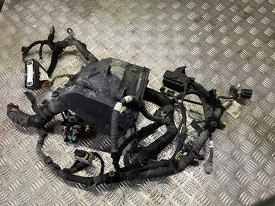 Jeep Renegade Motorraum Kabelbaum mit Sicherungskasten Original 00520254610
