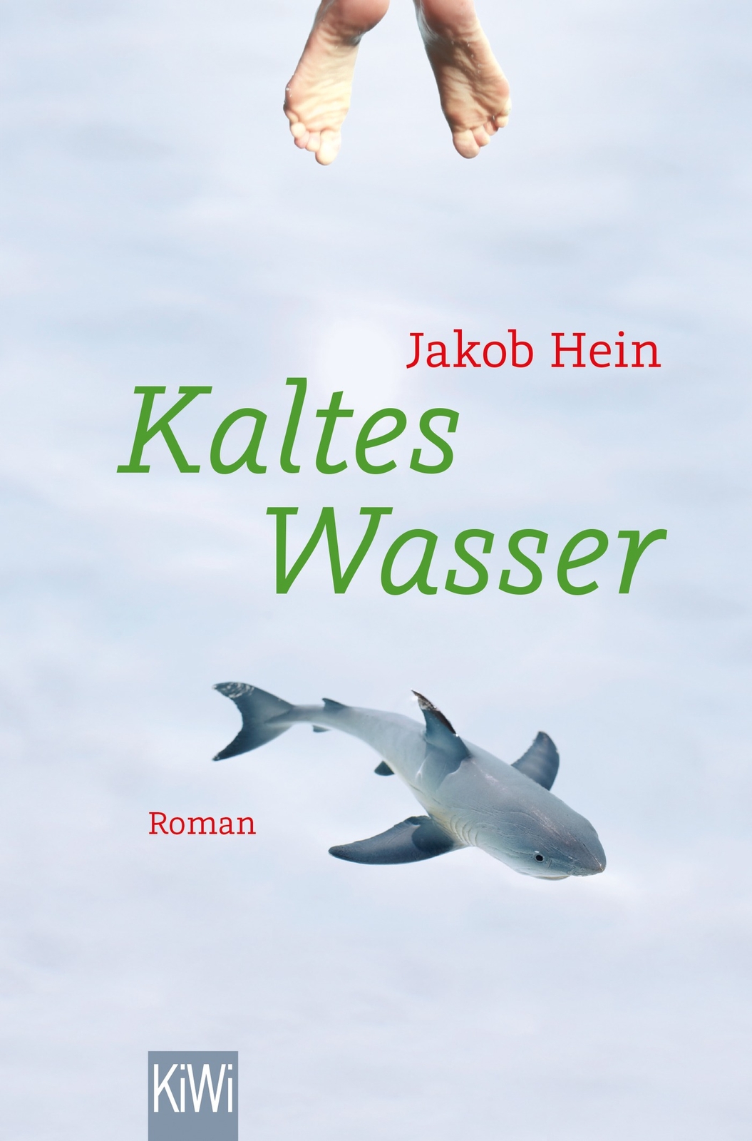 Thumbnail - Jakob Hein / Kaltes Wasser