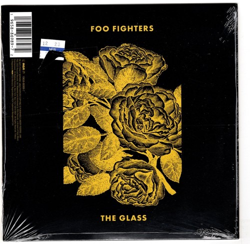 H.E.R./Foo Fighters-The Glass (Mint) Sealed RSD - Picture 2 of 2
