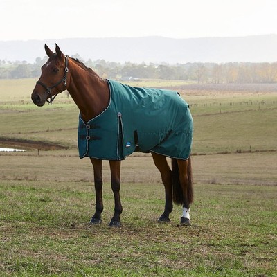 Weatherbeeta Comfitec Classic Turnout 220g