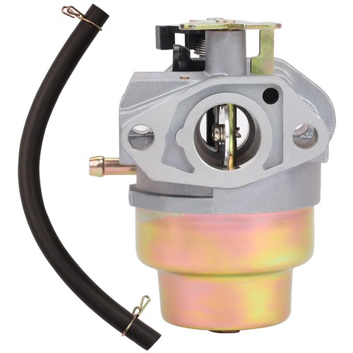 Pressure Washer Carb 764560225913 