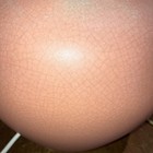 Bild 2 von 8
