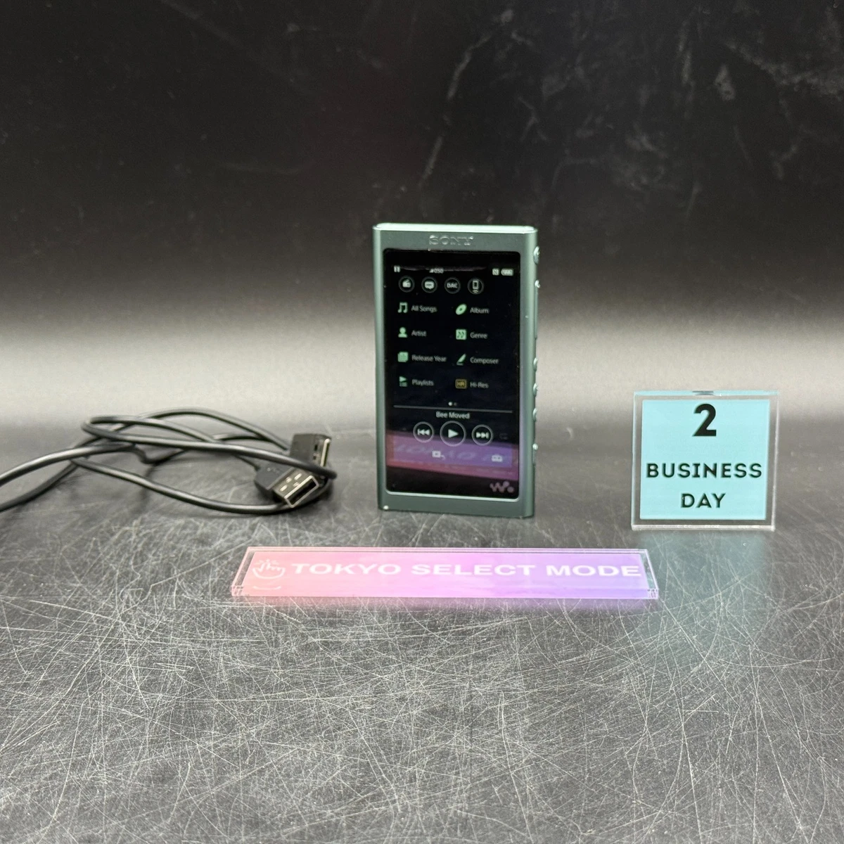 Sony NW-A55 MP3 Players for sale | eBay