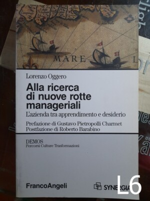 Alla ricerca di nuove rotte manageriali di Oggero - libro Franco Angeli azienda