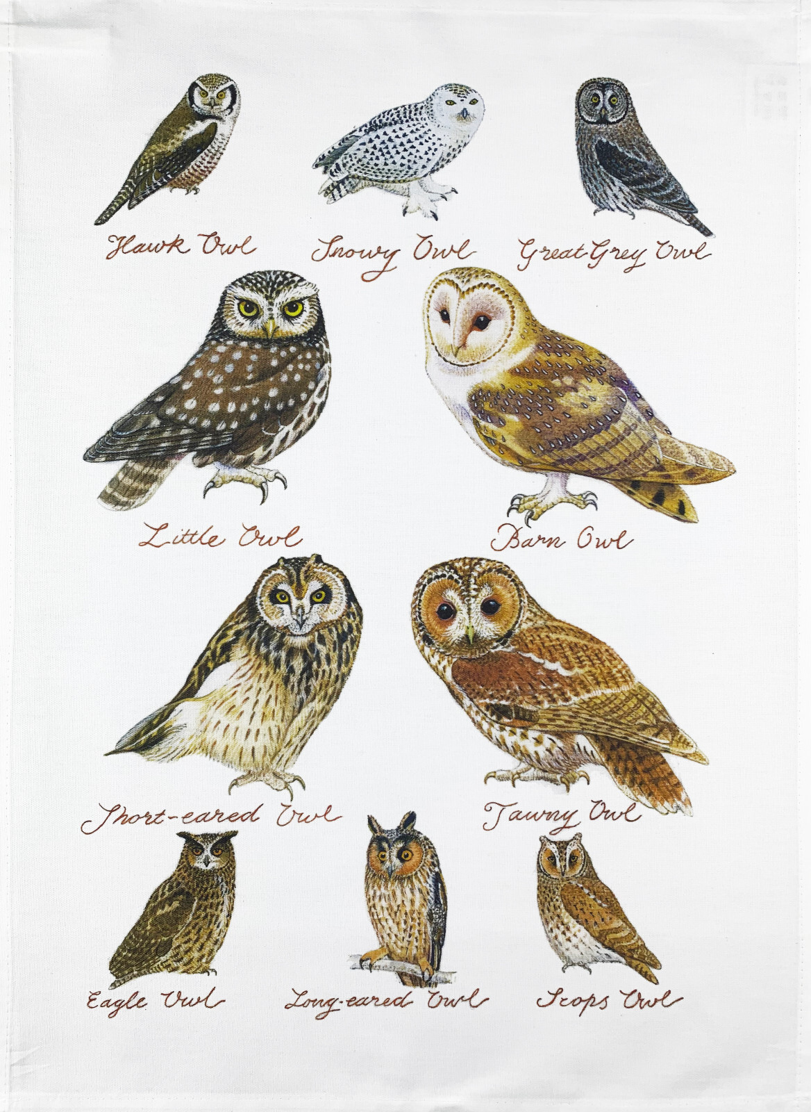 Owls Collection Cotton Tea Towel, machine washable, hand drawn