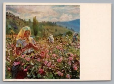Socialist Realism Valley Roses USSR Soviet Ukraine Artist GS Melikhov Postcard