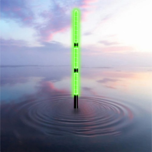 Electronic Fishing Float Luminous Fishing Float Eye-catching for Carp Fishing - Photo 2/21