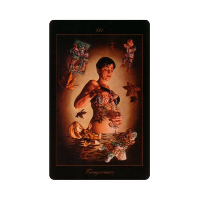 LOWBROW TAROT MAJOR ARCANA CARDS DECK SCHIFFER PUBLISHING KAHN