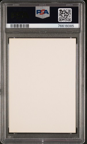 A PAIR OF JAWAS 1977 Topps Star Wars STICKERS #41 PSA 8 +COUPONS +FREE SHIPPING! - Picture 2 of 2