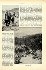 Ostasienkrieg Rast einer Abtl.Japaner unweit Liaojang Momentaufnahmen von 1904