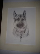 German Shepherd Print