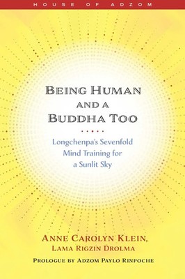 Anne Klein | Being Human and a Buddha Too | Taschenbuch | Englisch (2023)
