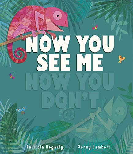 Now You See Me, Now You Don’t-Patricia Hegarty,Jonny Lambert
