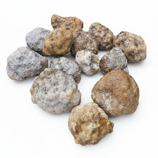 Kentucky Geode Classroom Pack – 10 Large Hand-Sized Whole Rocks – STEM