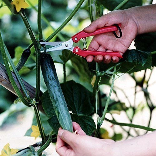 ARS Needle Nose Pruner HP-SE45 - Thumbnail 4