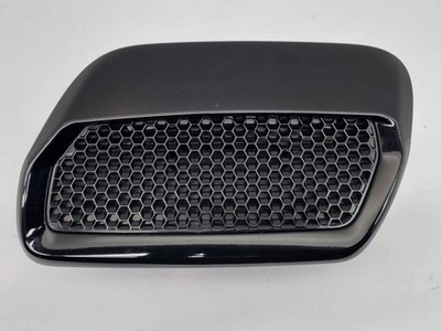 Ford Mustang VI 2021 Links Ziergitter Motorhaube G25AC EVI10638