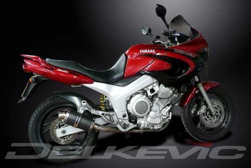 YAMAHA TDM850 1991-2001 225mm OVAL CARBON SILENCER EXHAUST KIT - Picture 3 of 4