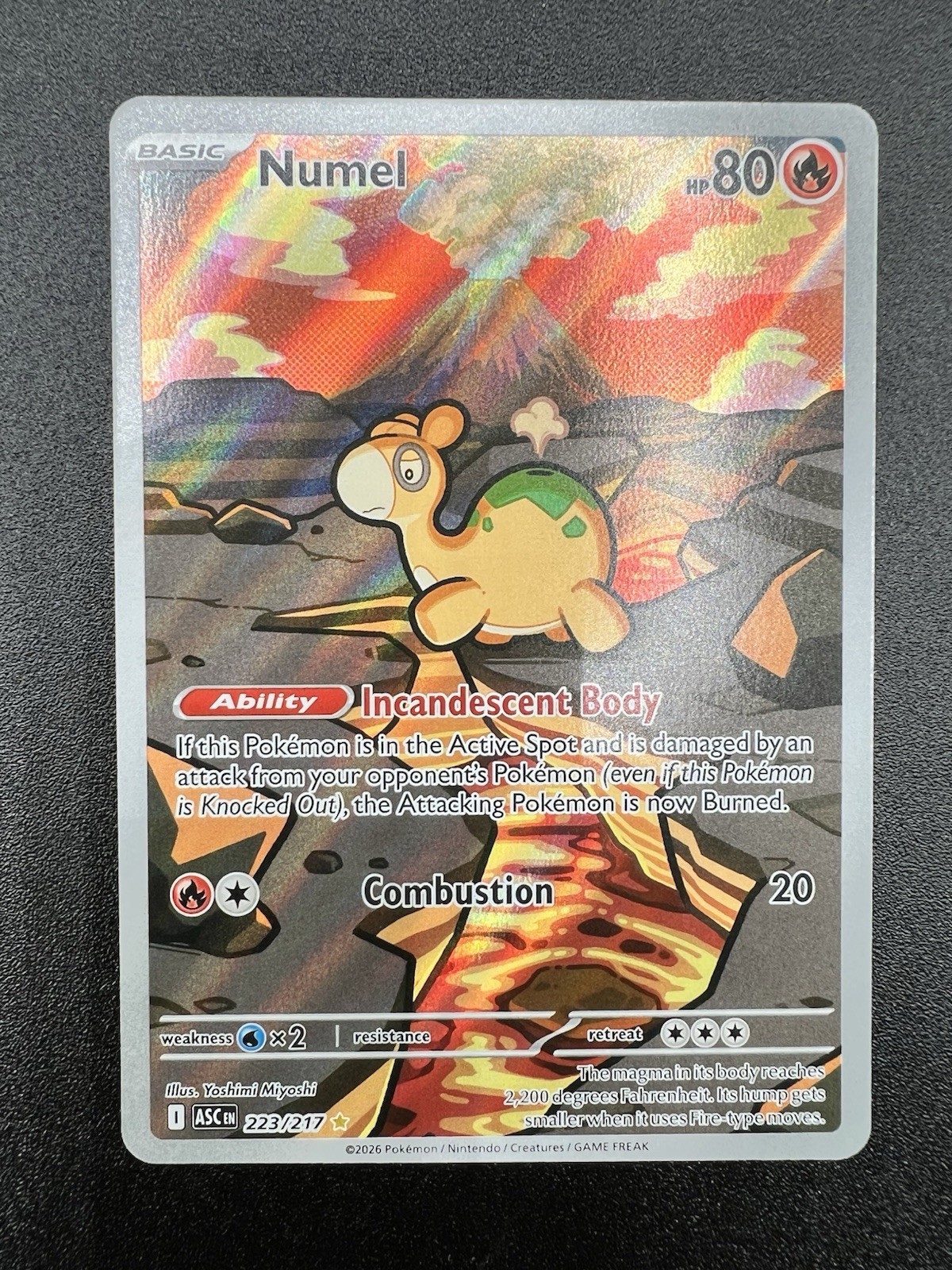 POKEMON CARD TCG NUMEL 223/217 Ascended Heroes Illustration Rare